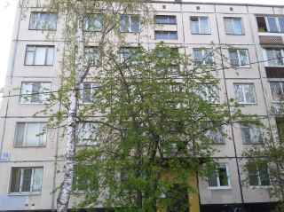 улица Пионерстроя, 10к3