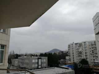 улица Тюльпанов, 41Д