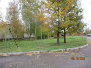 деревня Новоселье, 5