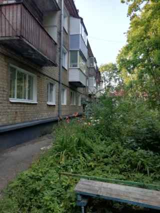 улица Мира, 11