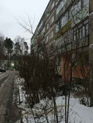 Лесная улица, 2А