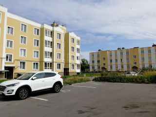 деревня Горбунки, 50