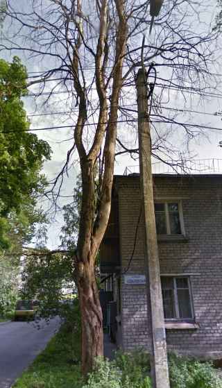 Ковалёвская улица, 24