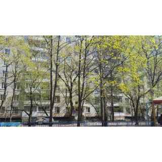 Матвеевская улица, 42к3