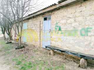 Лесная улица, 7