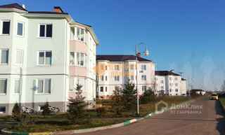 деревня Большое Петровское, 6